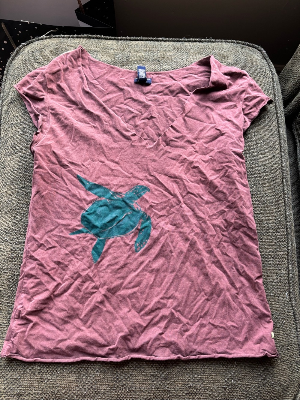 American Eagle Outfitters Mauve Short Sleeve Tee with Teal Turtle Graphic